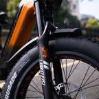 Lankeleisi RX800 Plus 1000W 20" Fatbike Full Suspension Electric Bike 48V 20Ah SUV E-Bike