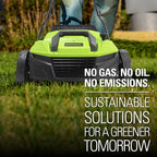 Greenworks 13 Amp 14-Inch Corded Dethatcher