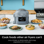 Ninja Speedi Rapid Cooker & Air Fryer, 6-Quart Capacity