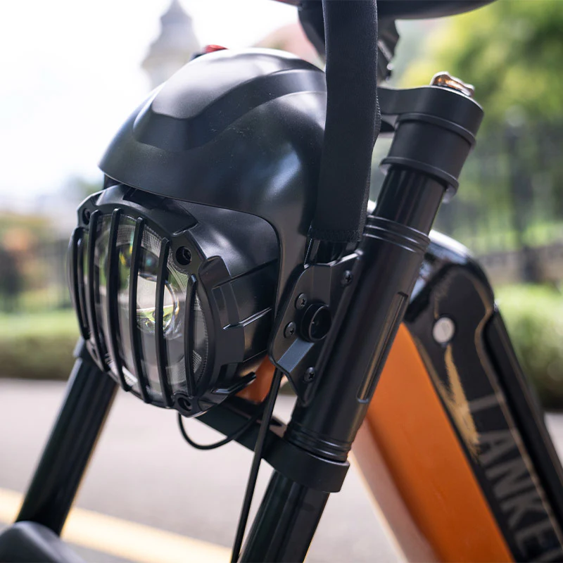 Lankeleisi RX800 Plus 1000W 20" Fatbike Full Suspension Electric Bike 48V 20Ah SUV E-Bike