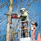 MILWAUKEE M18FCHS-503 M18 FUEL CHAINSAW