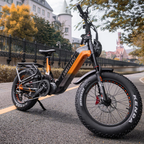 Lankeleisi RX800 Plus 1000W 20" Fatbike Full Suspension Electric Bike 48V 20Ah SUV E-Bike