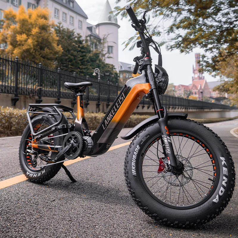Lankeleisi RX800 Plus 1000W 20" Fatbike Full Suspension Electric Bike 48V 20Ah SUV E-Bike