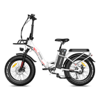 Fafrees F20 MAX 2023 Version 500W 20" klapprad e-bike Fat Bike Elektrofahrrad 22,5 Ah