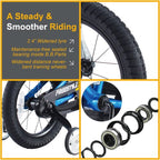 Royalbaby Kids Bike Freestyle BMX Bicycle with Training Wheels Kickstand