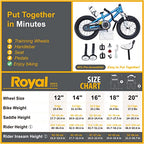 Royalbaby Kids Bike Freestyle BMX Bicycle with Training Wheels Kickstand