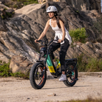Lankeleisi RX800 Plus 1000W 20" Fatbike Full Suspension Electric Bike 48V 20Ah SUV E-Bike