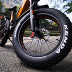 Lankeleisi RX800 Plus 1000W 20" Fatbike Full Suspension Electric Bike 48V 20Ah SUV E-Bike