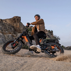 Lankeleisi RX800 Plus 1000W 20" Fatbike Full Suspension Electric Bike 48V 20Ah SUV E-Bike