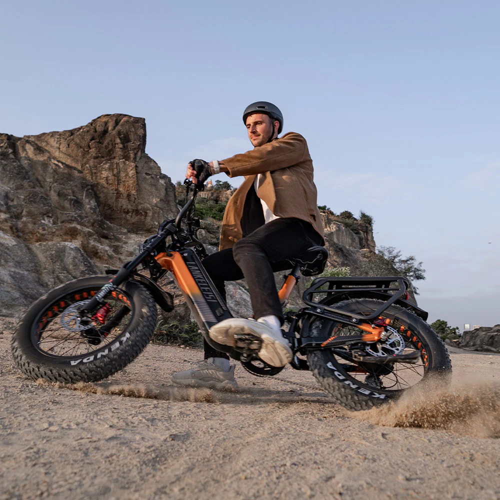 Lankeleisi RX800 Plus 1000W 20" Fatbike Full Suspension Electric Bike 48V 20Ah SUV E-Bike