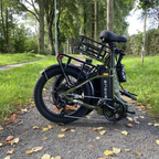 Engwe L20 SE 250W 20" Foldable Electric Bike Trekking E-bike 15.6 Ah Battery E-folding Bike [Pre-Order]