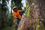 STIHL GASOLINE CHAINSAW MS 500&iexcl;