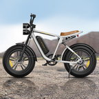ENGWE M20 750W 20" Fatbike E-Mountainbike