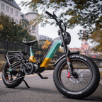 Lankeleisi RX800 Plus 1000W 20" Fatbike Full Suspension Electric Bike 48V 20Ah SUV E-Bike