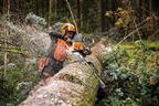 STIHL GASOLINE CHAINSAW MS 500&iexcl;