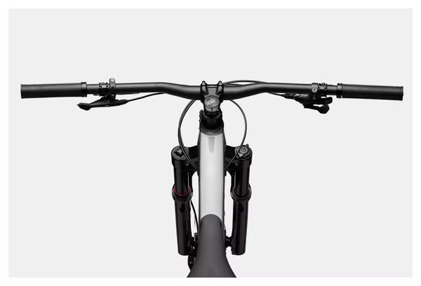 Cannondale Habit 3 29'' Sram NX Eagle 12V Grey All-Suspension Mountain Bike