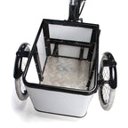 Electric tricycle SLS-0018