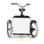 Electric tricycle SLS-0018