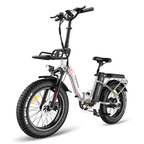 Fafrees F20 MAX 2023 Version 500W 20" klapprad e-bike Fat Bike Elektrofahrrad 22,5 Ah