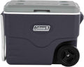 Coleman Daintree Portable Cooler, Sturdy Design for Outdoor & Indoor Use, Grey